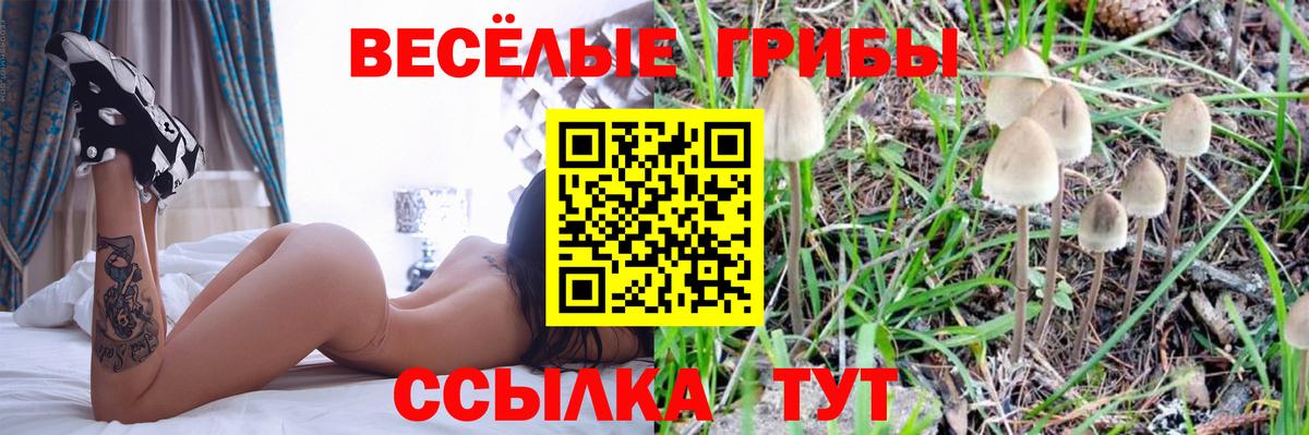 Ейск  даркнет сайт  Вход с VPN  Галлюциногенные грибы Cubensis 